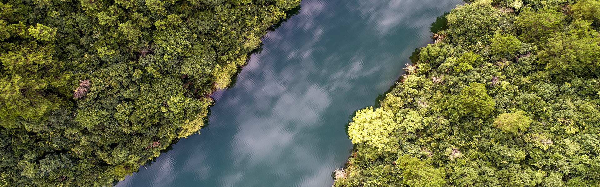 ������app