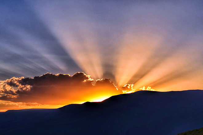 ������app